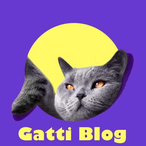 Il blog per veri cat lovers
